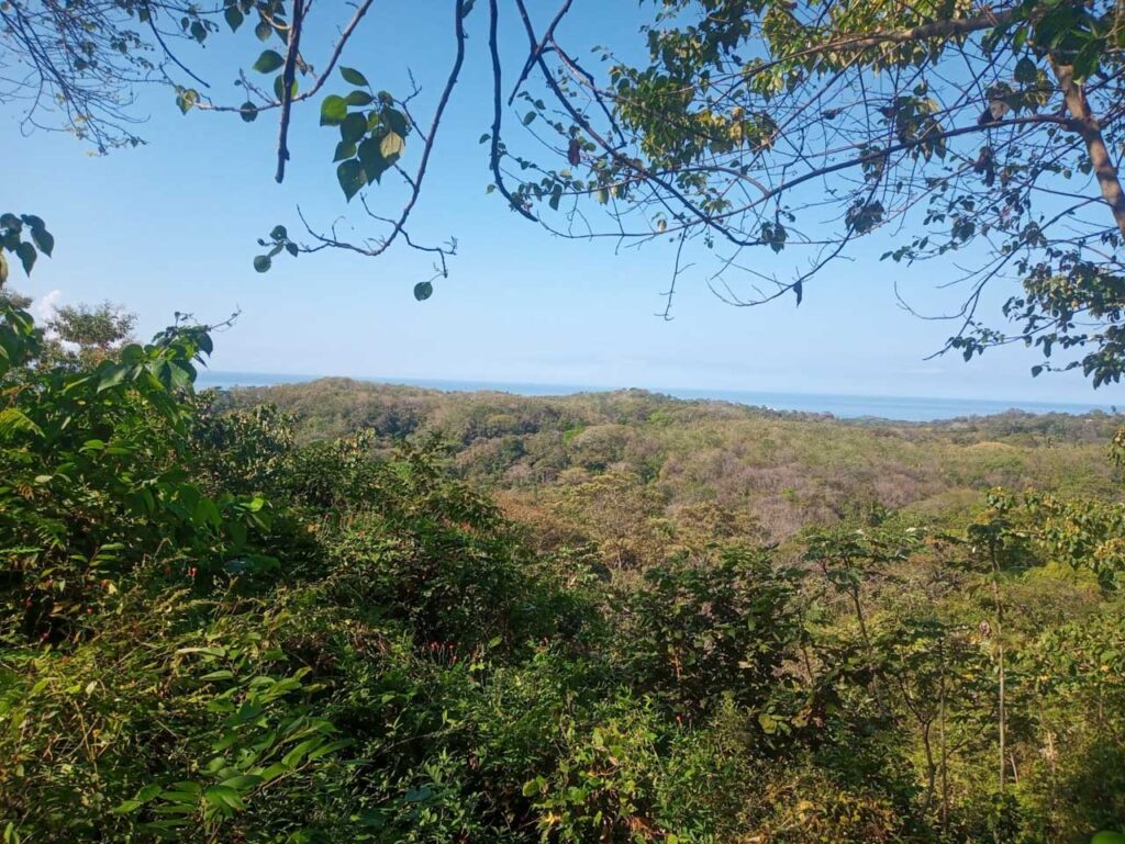 Características de la propiedad