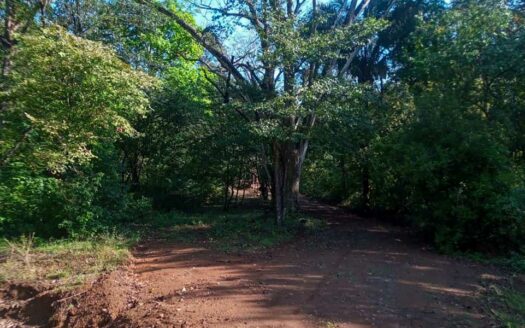 61 Ha con Vista al Mar y Río cerca de Marbella 🌿 COD: 143207