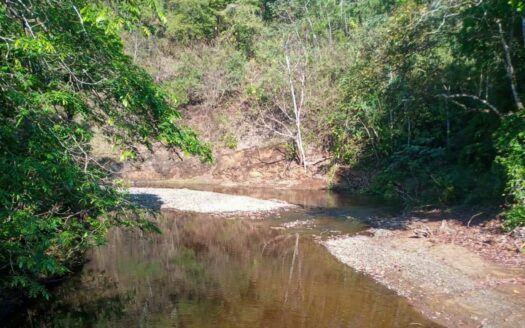 61 Ha con Vista al Mar y Río cerca de Marbella 🌿 COD: 143207