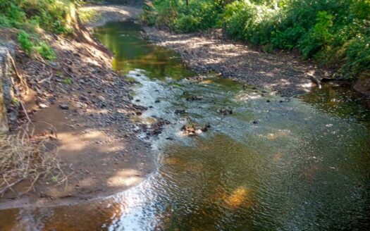 61 Ha con Vista al Mar y Río cerca de Marbella 🌿 COD: 143207