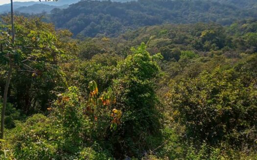 61 Ha con Vista al Mar y Río cerca de Marbella 🌿 COD: 143207