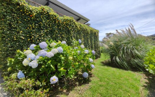 Hermoso y amplio lote de 750 m2 con espectaculares vistas en exclusivo condominio en Poás de Alajuela a precio de OPORTUNIDAD! COD. 146028