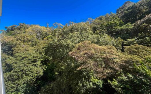 Apartamento En Venta En Punta Leona, Vista A La Montaña, Piso 16, Entrega Inmediata COD. 145330