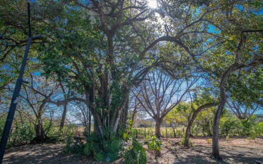Casa Moderna con Piscina en Santa Cruz – Amplio Terreno y Privacidad a 20 Min de Tamarindo 🌿 COD:145852