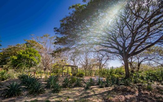 Casa Moderna con Piscina en Santa Cruz – Amplio Terreno y Privacidad a 20 Min de Tamarindo 🌿 COD:145852