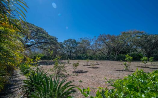 Casa Moderna con Piscina en Santa Cruz – Amplio Terreno y Privacidad a 20 Min de Tamarindo 🌿 COD:145852