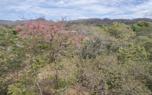 Lote Residencial 2,609 m² cerca de Brasilito & Flamingo 🌿 COD:144163