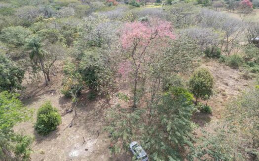 Lote Residencial 2,609 m² cerca de Brasilito & Flamingo 🌿 COD:144163