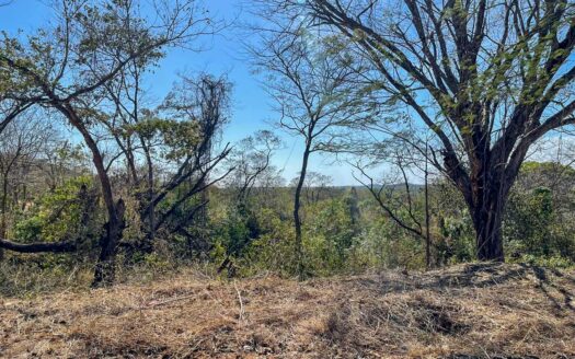 Ocean View Lot in a Gated Community Near Tamarindo 🌅 COD: 146119