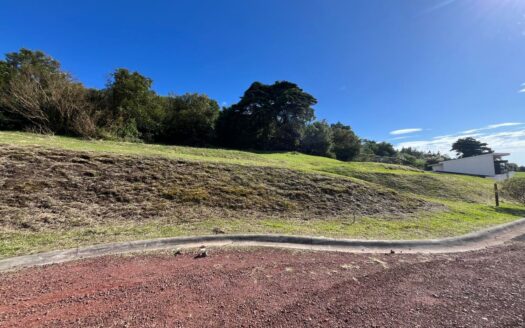 Hermoso y amplio lote de 750 m2 con espectaculares vistas en exclusivo condominio en Poás de Alajuela a precio de OPORTUNIDAD! COD. 146028