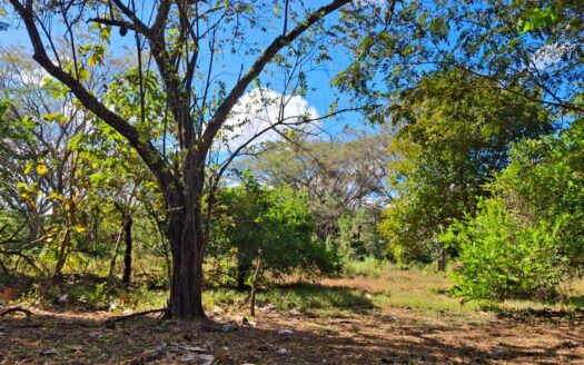 Lote Residencial 2,609 m² cerca de Brasilito & Flamingo 🌿 COD:144163