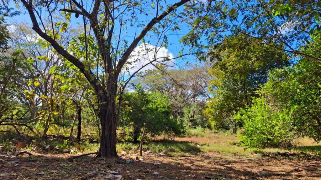 Características de la propiedad