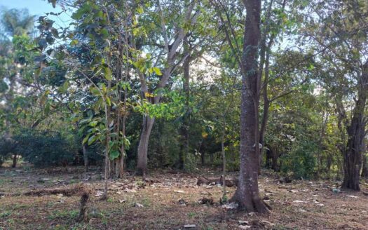 Terreno Amplio cerca de Brasilito & Flamingo 🌱 COD: 144146