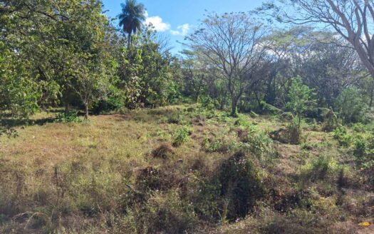 Lote Residencial 2,609 m² cerca de Brasilito & Flamingo 🌿 COD:144163