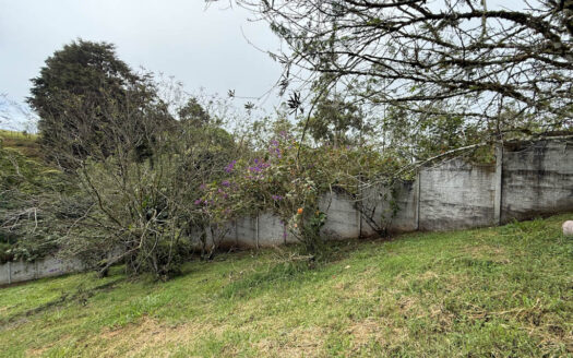 Hermosa Casa en Terreno de 2.503 m2, en la Zona de La Colmena, Cascajal de Coronado COD 145544