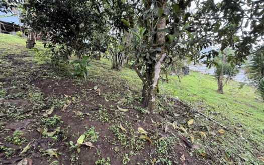 Hermosa Casa en Terreno de 2.503 m2, en la Zona de La Colmena, Cascajal de Coronado COD 145544