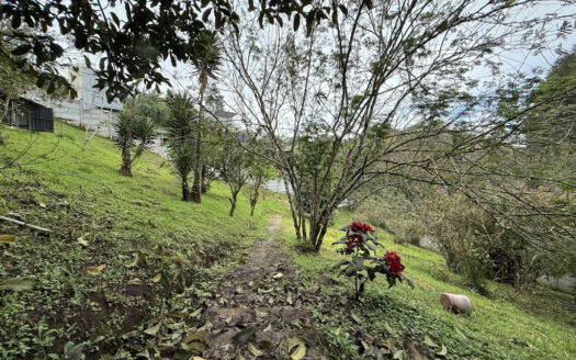 Hermosa Casa en Terreno de 2.503 m2, en la Zona de La Colmena, Cascajal de Coronado COD 145544