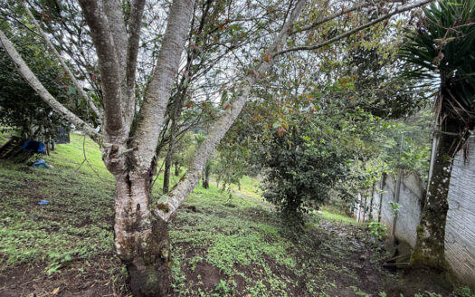 Hermosa Casa en Terreno de 2.503 m2, en la Zona de La Colmena, Cascajal de Coronado COD 145544