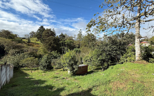 Hermosa Casa en Terreno de 2.503 m2, en la Zona de La Colmena, Cascajal de Coronado COD 145544