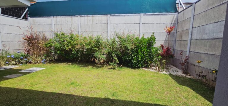 Imagen 26