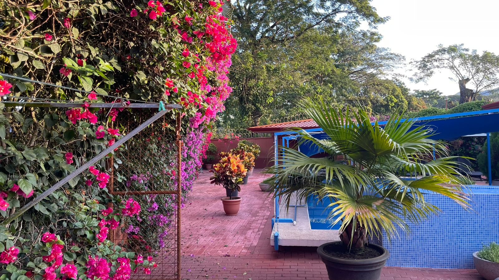 Exclusivo Mini Hotel Boutique en Jacó – Propiedad de Inversión Llave en Mano con Alta Rentabilidad Cod. 147283