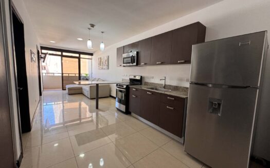 Apartamento En Venta En Santa Ana Centro Con Balcón Y Amenidades de Lujo. Cod.