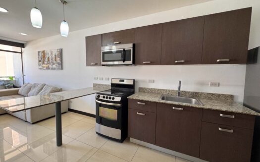 Apartamento En Venta En Santa Ana Centro Con Balcón Y Amenidades de Lujo. Cod.