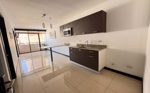 Apartamento En Venta En Santa Ana Centro Con Balcón Y Amenidades de Lujo. Cod. 147161