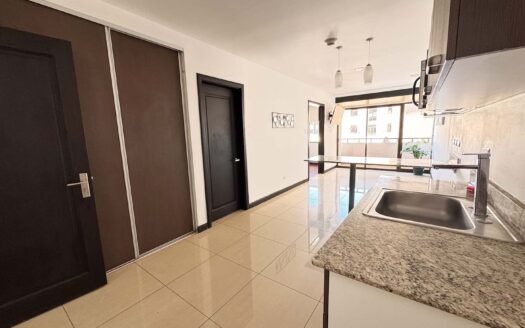 Apartamento En Venta En Santa Ana Centro Con Balcón Y Amenidades de Lujo. Cod. 147161