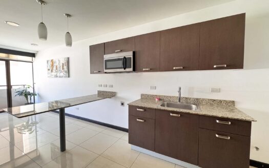 Apartamento En Venta En Santa Ana Centro Con Balcón Y Amenidades de Lujo. Cod. 147161