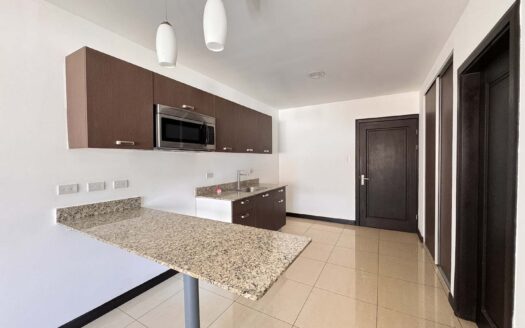 Apartamento En Venta En Santa Ana Centro Con Balcón Y Amenidades de Lujo. Cod. 147161