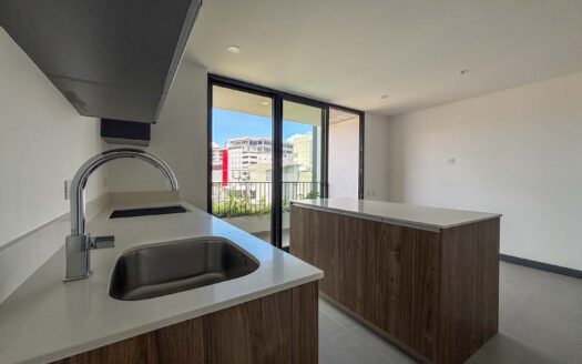 Apartamento En Alquiler En San Pedro Barrio Dent Semi Amueblado Con Vista cod.C146133