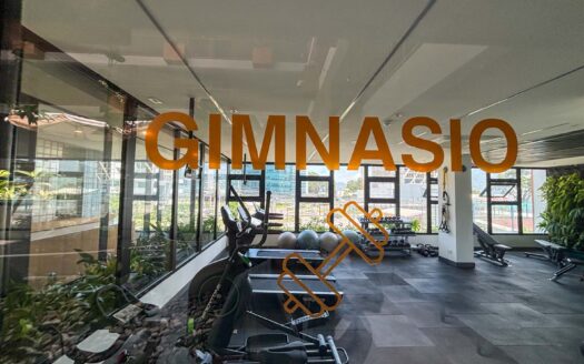 Apartamento En Alquiler En San Pedro Barrio Dent Semi Amueblado Con Vista cod.C146133