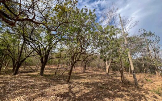 Build-Ready Lot in Salinitas | Just 4 Min from Playa Grande 🌿 COD: 146251