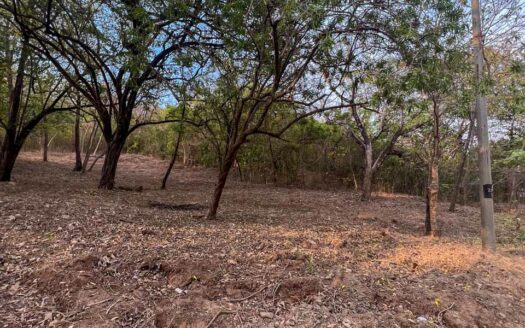 Build-Ready Lot in Salinitas | Just 4 Min from Playa Grande 🌿 COD: 146251