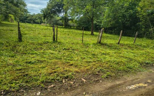 Lote Listo para Construir Cerca del Mar en Marbella 🌿 COD:146845