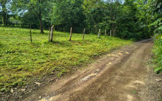 Lote Listo para Construir Cerca del Mar en Marbella 🌿 COD:146845