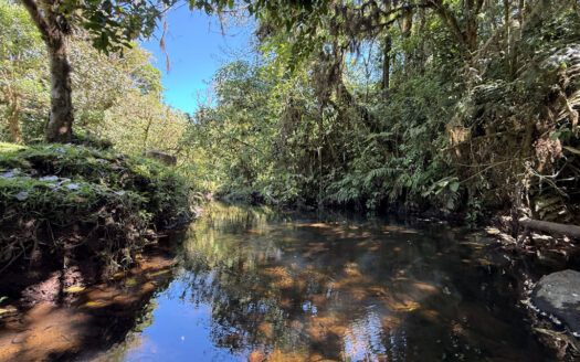 Hermosa Propiedad de Montaña de 4.565 m2, con 3 Cabañas y con paso del Río Agra, en la Zona de Dulce Nombre de Coronado COD 147092