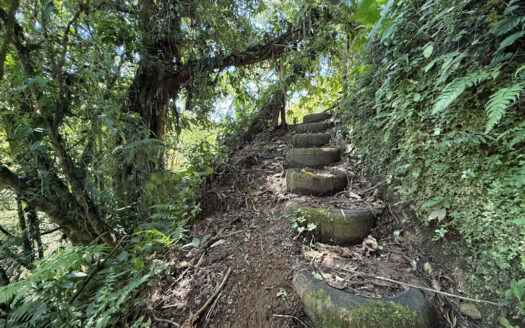 Hermosa Propiedad de Montaña de 4.565 m2, con 3 Cabañas y con paso del Río Agra, en la Zona de Dulce Nombre de Coronado COD 147092