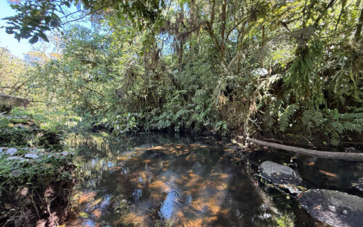 Hermosa Propiedad de Montaña de 4.565 m2, con 3 Cabañas y con paso del Río Agra, en la Zona de Dulce Nombre de Coronado COD 147092