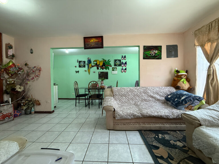 Imagen 6