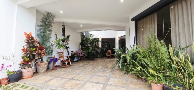 Imagen 5