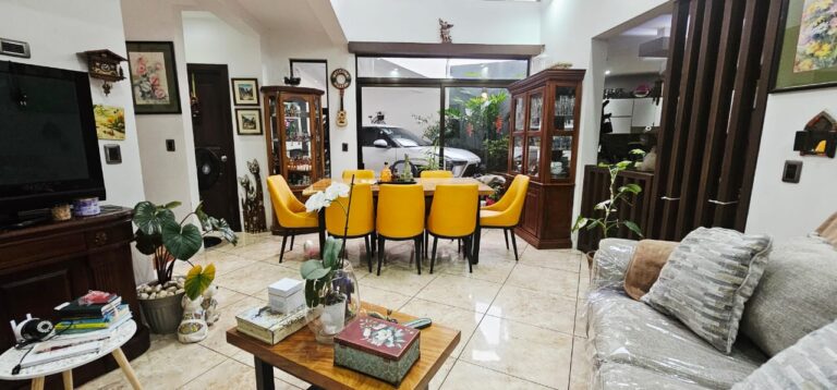 Imagen 9
