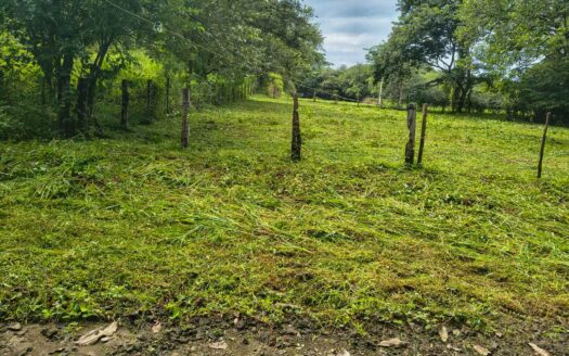 Lote Listo para Construir Cerca del Mar en Marbella 🌿 COD:146845