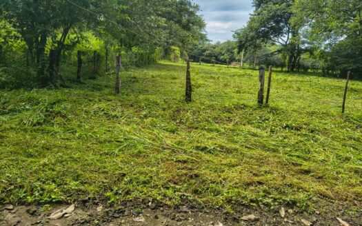 Lote Listo para Construir Cerca del Mar en Marbella 🌿 COD:146845