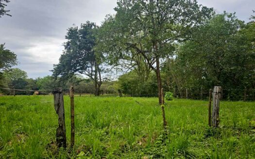 Lote Listo para Construir Cerca del Mar en Marbella 🌿 COD:146845