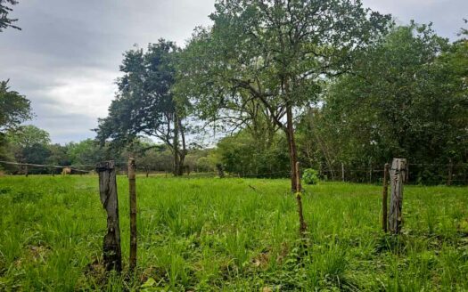 Lote Listo para Construir Cerca del Mar en Marbella 🌿 COD:146845