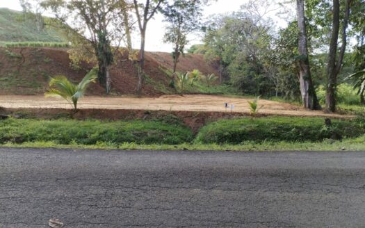 Lotes Planos Premium en Esterillos – Oportunidad Exclusiva y única cerca del Mar 900 m2 – $125,000 USD Cod. 147889