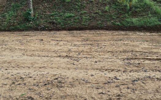 Lotes Planos Premium en Esterillos – Oportunidad Exclusiva y única cerca del Mar 900 m2 – $125,000 USD Cod. 147889