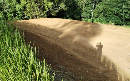 Lotes Planos Premium en Esterillos – Oportunidad Exclusiva y única cerca del Mar 900 m2 – $125,000 USD Cod. 147889